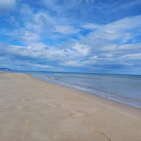 A 100 M De La Playa Appartement